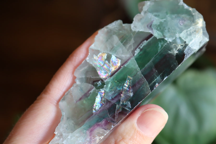 Semi polished rainbow fluorite 4 new