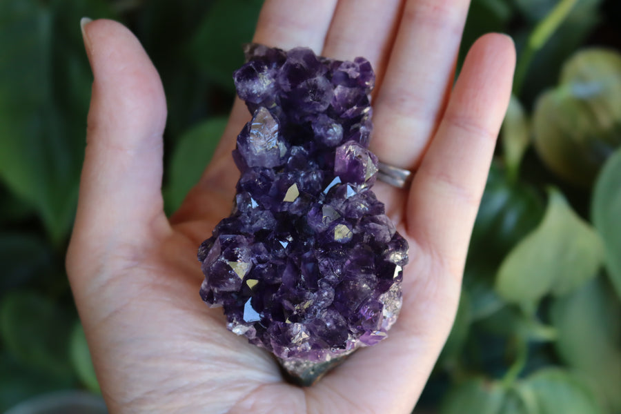 Amethyst cluster 2 new