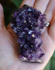 Amethyst cluster 2 new