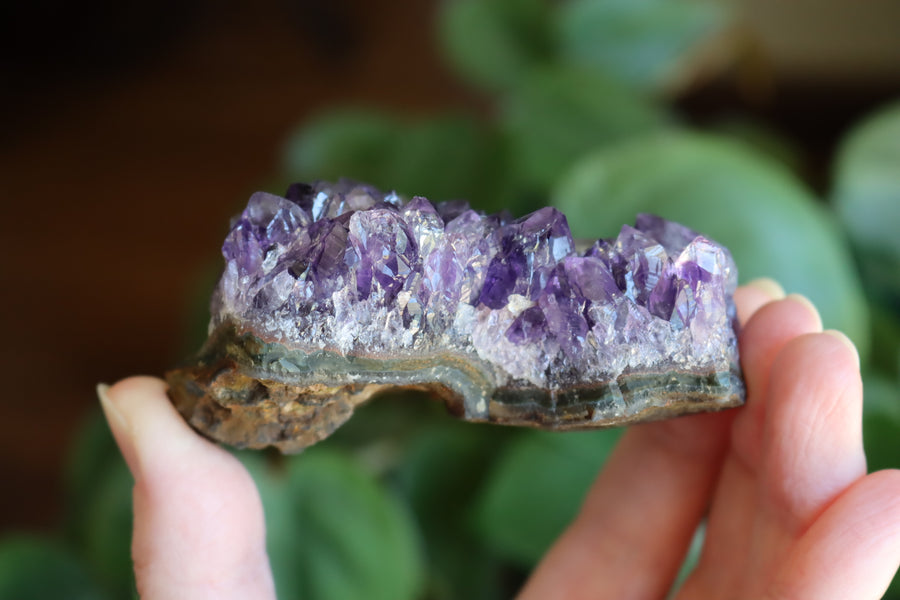 Amethyst cluster 2 new