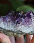 Amethyst cluster 3 new