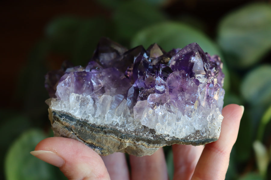 Amethyst cluster 3 new