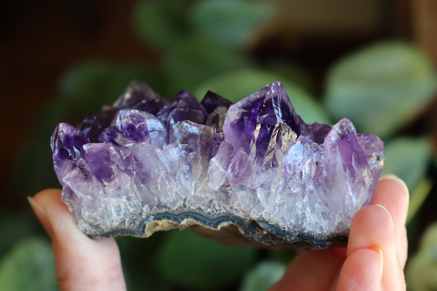 Amethyst cluster 3 new