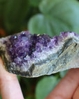 Amethyst cluster 4 new