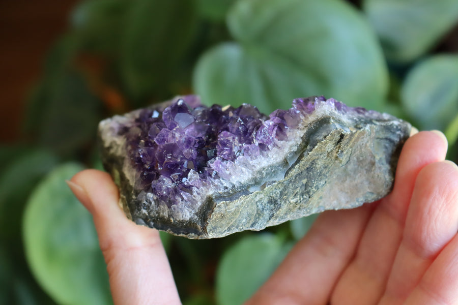 Amethyst cluster 4 new