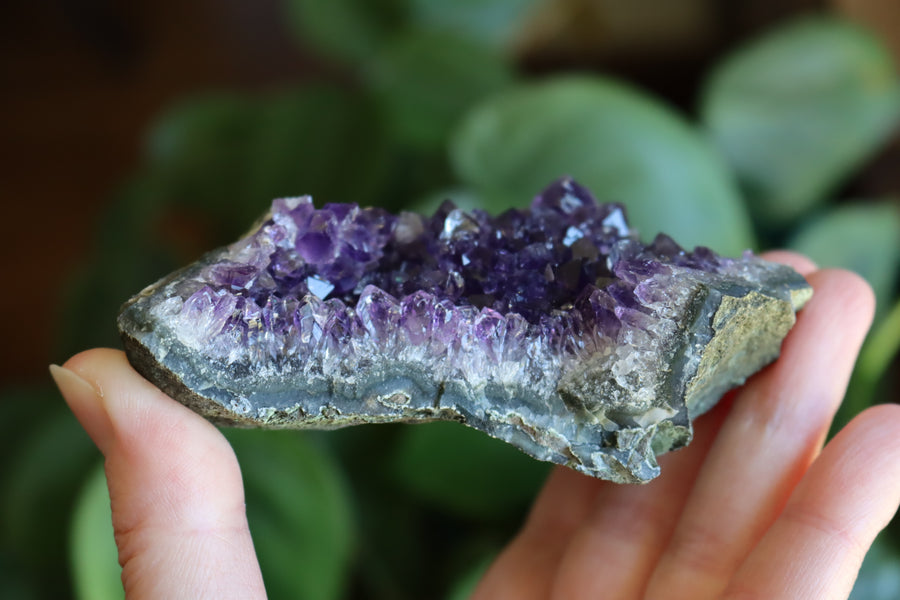 Amethyst cluster 4 new