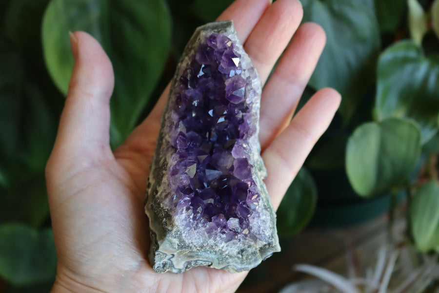 Amethyst cluster 5 new