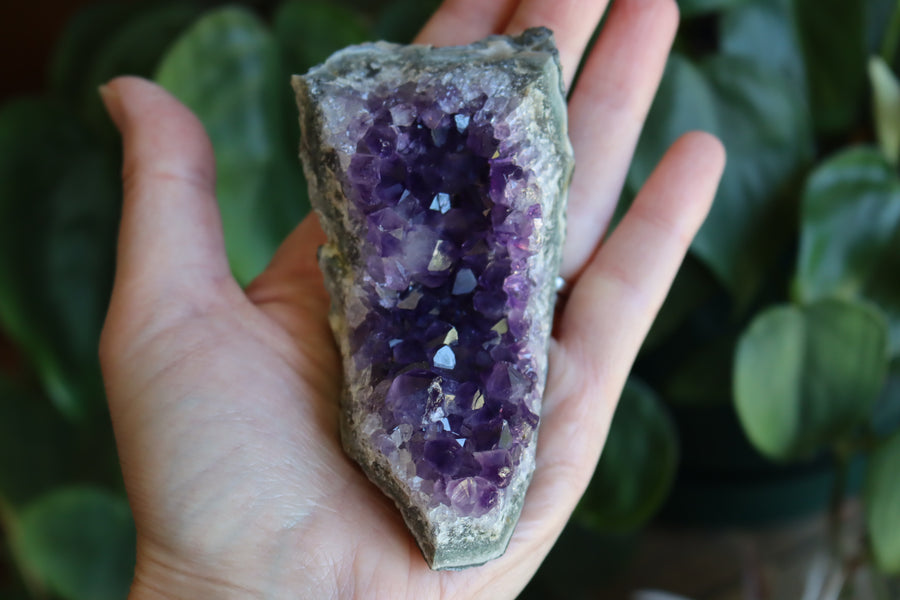 Amethyst cluster 5 new