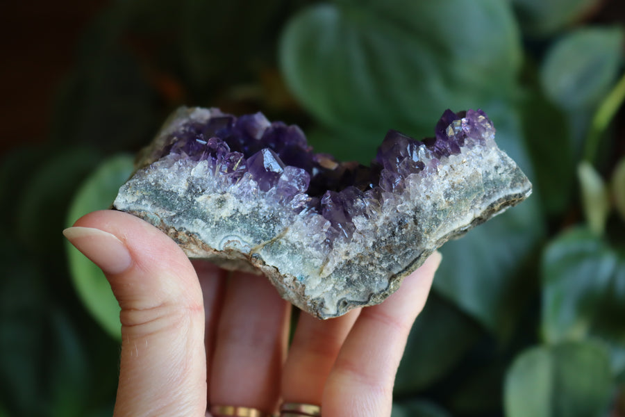 Amethyst cluster 5 new