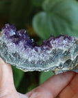 Amethyst cluster 5 new