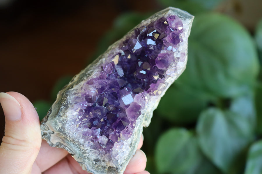 Amethyst cluster 5 new