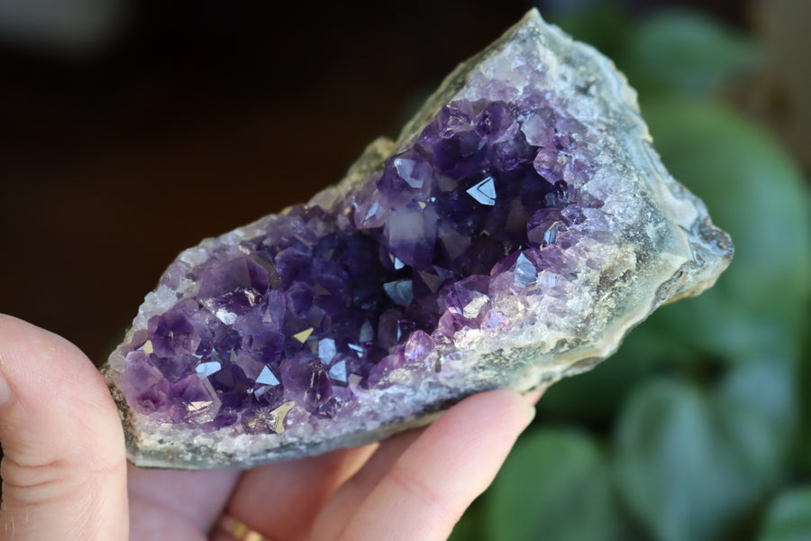 Amethyst cluster 5 new