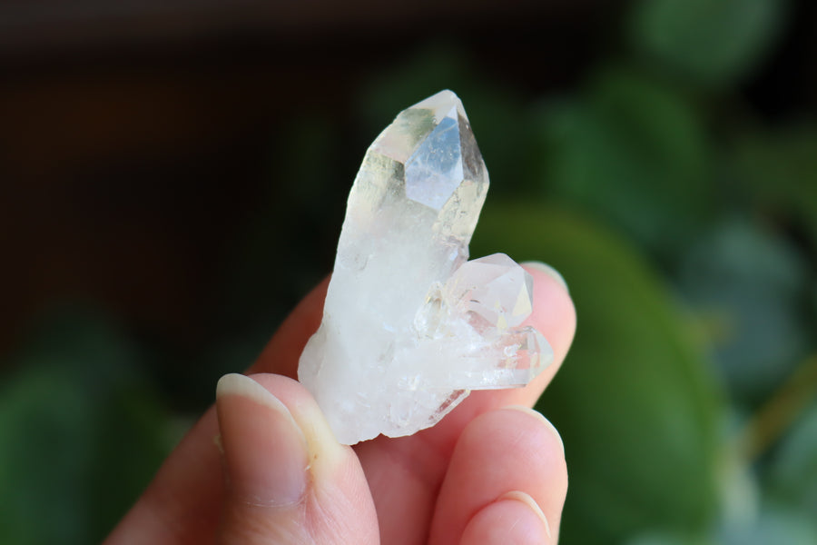 Clear quartz cluster 7 new