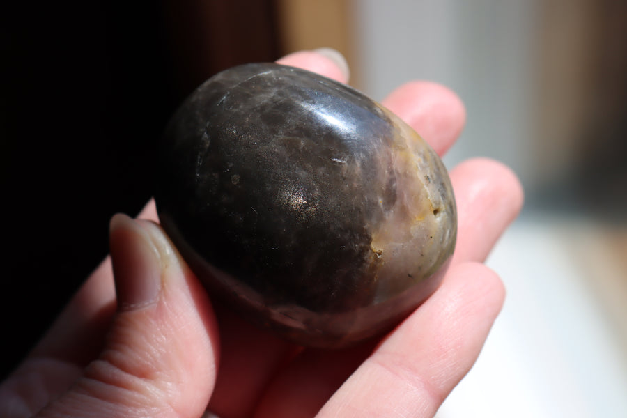 Black moonstone pocket stone 3 new