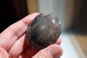 Black moonstone pocket stone 5 new