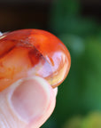 Carnelian pocket stone 8 new