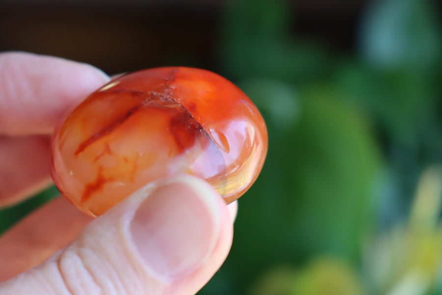 Carnelian pocket stone 8 new