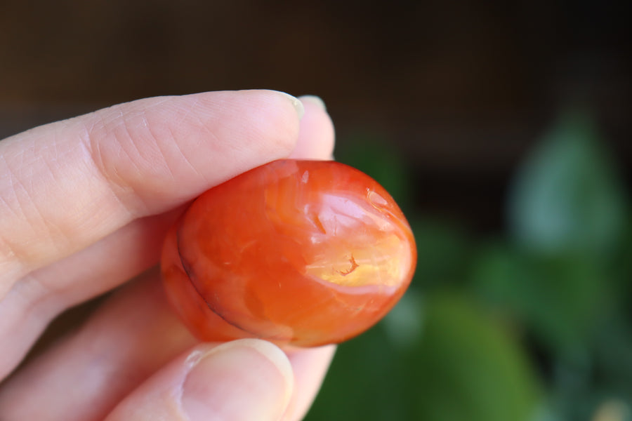 Carnelian pocket stone 8 new