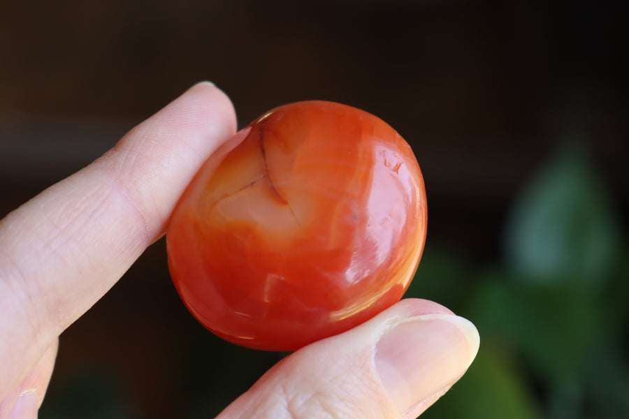 Carnelian pocket stone 8 new