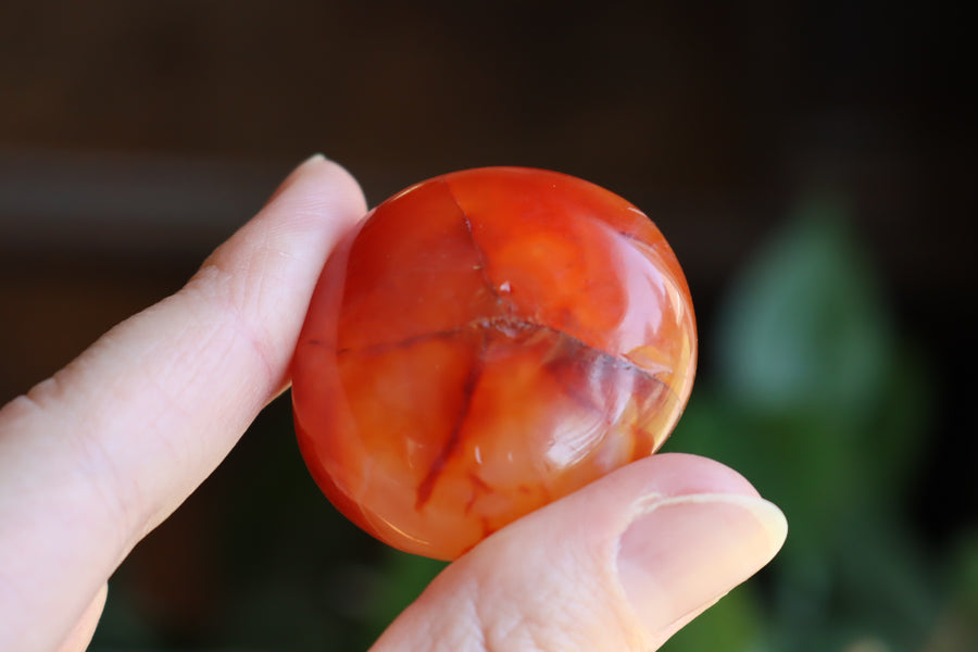 Carnelian pocket stone 8 new