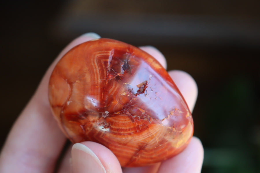 Carnelian pocket stone 11 new