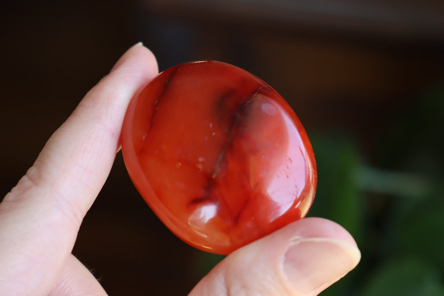 Carnelian pocket stone 12 new