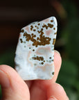 Ocean jasper tumbled stone 4 new