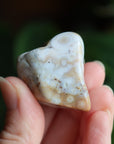 Ocean jasper tumbled stone 5 new