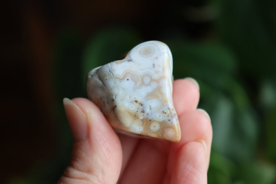 Ocean jasper tumbled stone 5 new