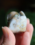 Ocean jasper tumbled stone 5 new