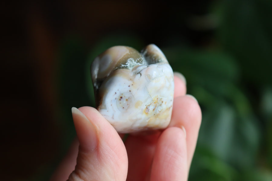 Ocean jasper tumbled stone 5 new