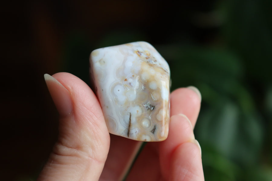 Ocean jasper tumbled stone 5 new