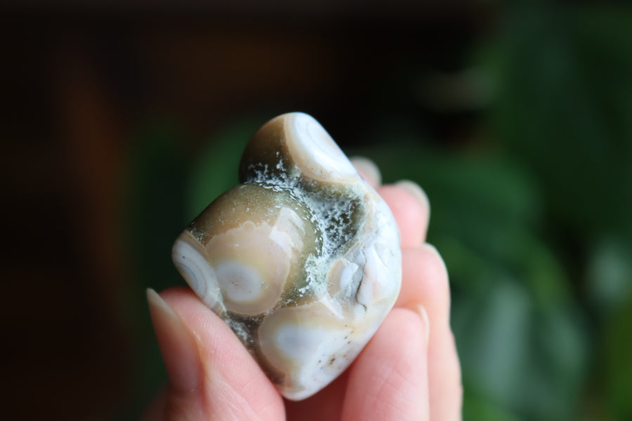 Ocean jasper tumbled stone 5 new