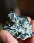 Moss agate frog 1 new