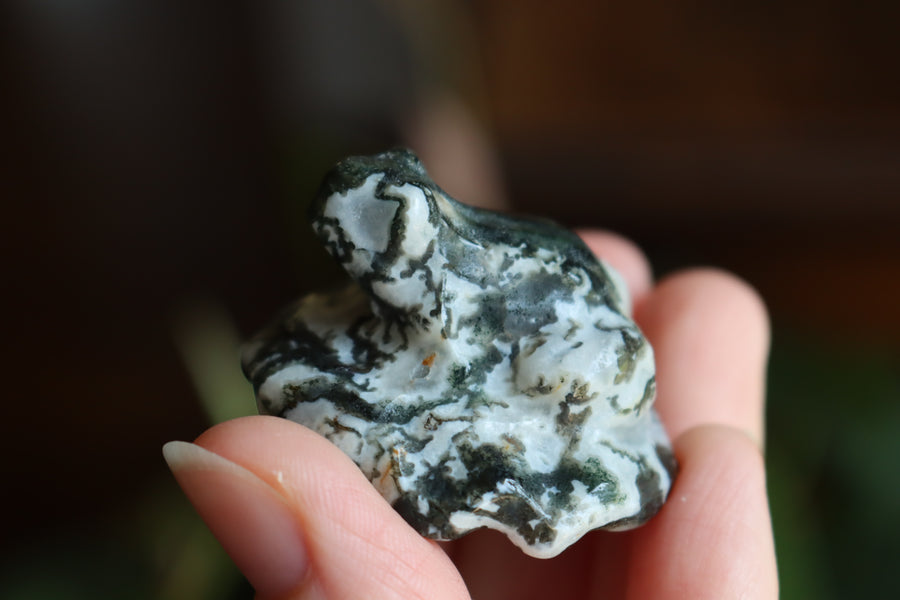 Moss agate frog 1 new