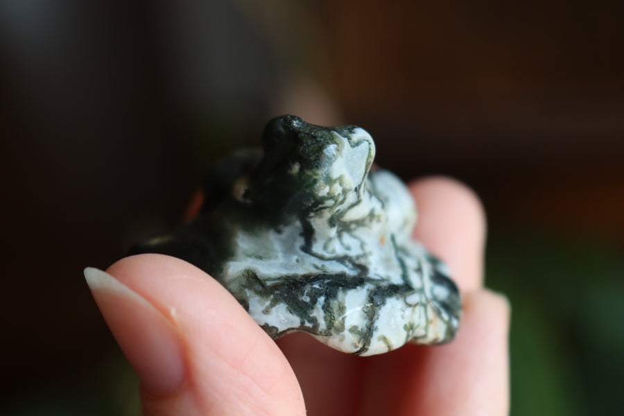 Moss agate frog 1 new