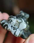 Moss agate frog 1 new