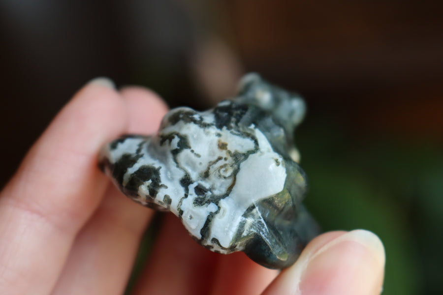 Moss agate frog 1 new