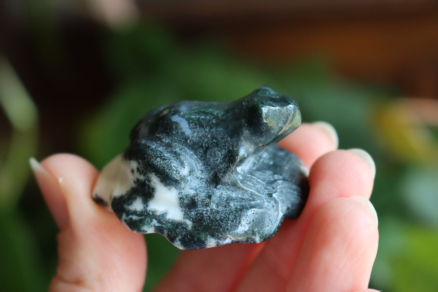 Moss agate frog 2 new